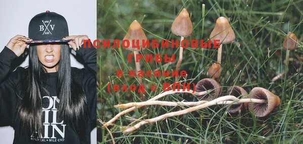 не бодяженный Зеленодольск