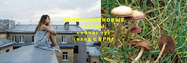 mdpv Зеленокумск