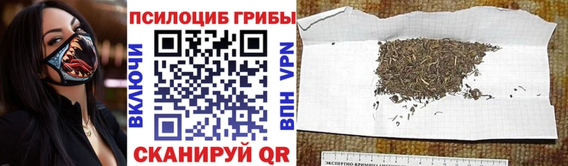 Псилоцибиновые грибы ЛСД Учалы