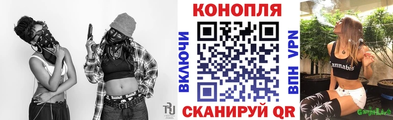 Купить где  Учалы  Шишки марихуана OG Kush 